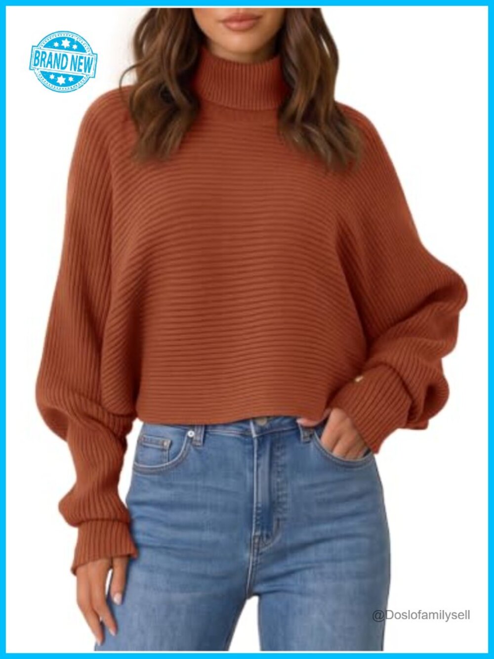 Womens Turtleneck Sweater Batwing Sleeve Knit Pullover Loose Fit